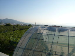 さくらんぼハウスの上から見た風景